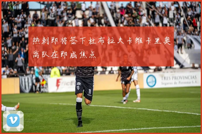 热刺即将签下杜布拉夫卡维卡里奥离队在即成焦点