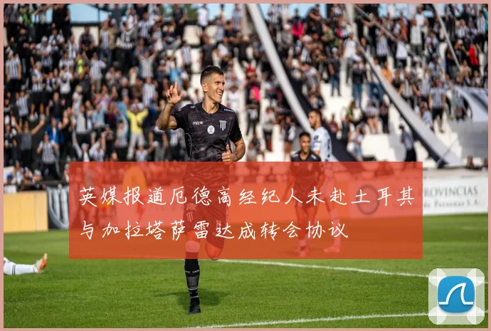 英媒报道厄德高经纪人未赴土耳其与加拉塔萨雷达成转会协议